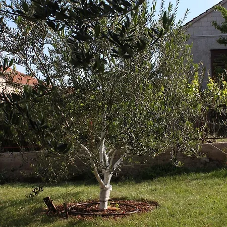 Appartamento With Parking Space Biograd Na Moru, Biograd - 6152 *