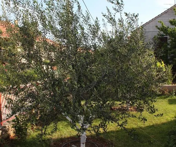 Apartment With Parking Space Biograd Na Moru, Biograd - 6152