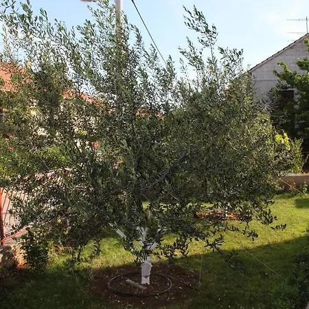 Apartament With Parking Space Biograd Na Moru, Biograd - 6152